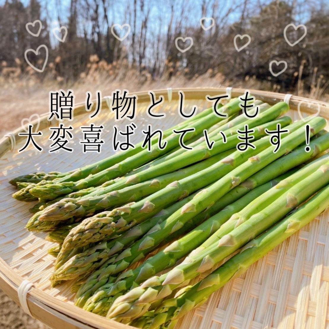 グリーンアスパラ(LサイズUP)1kg【予約販売中】