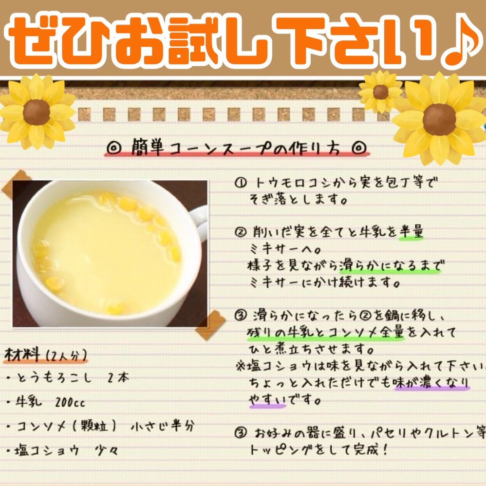 【予約受付中】とうもろこしゴールドラッシュ(L~2Lサイズ 20本入り)