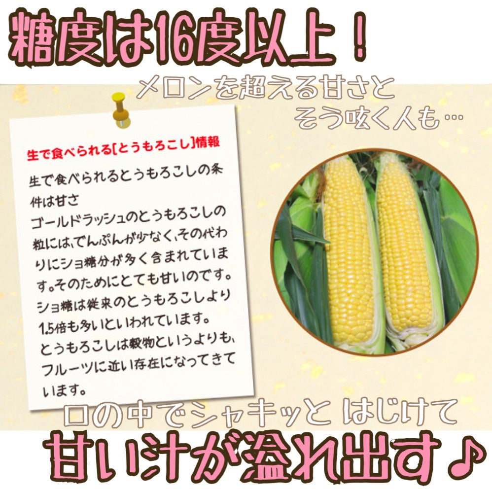 ゴールドラッシュ(L~2Lサイズ混合20本入)【予約販売中】
