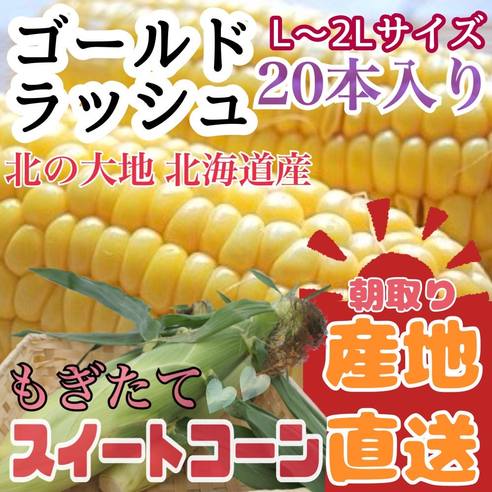 ゴールドラッシュ(L~2Lサイズ混合20本入)【予約販売中】