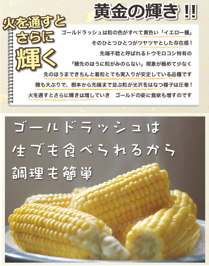 北海道の黄色いとうもろこし!ゴールドラッシュ(20本入)