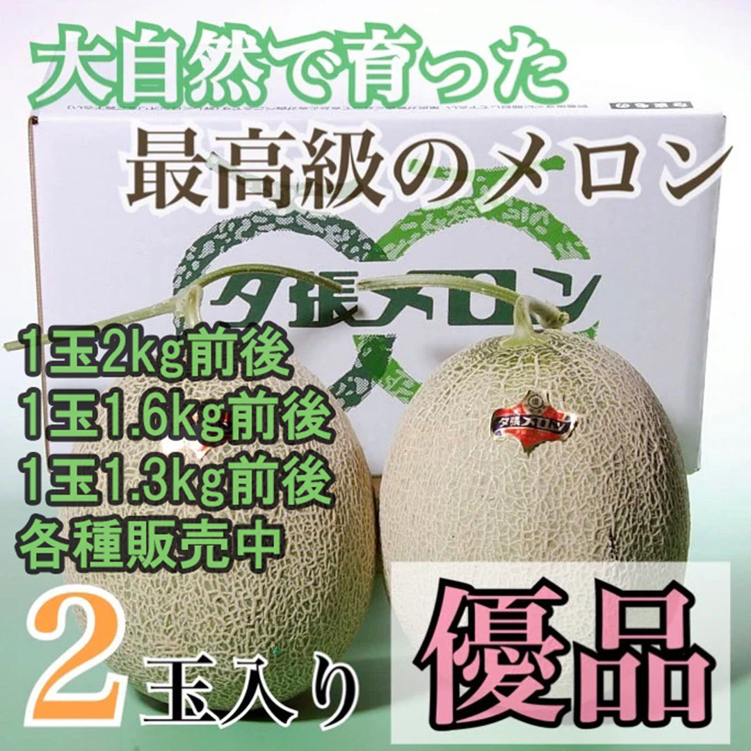 新商品販売開始のお知らせ