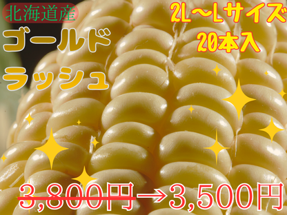 【予約受付中】とうもろこしゴールドラッシュ（L～2Lサイズ 20本入り）