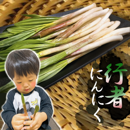 【予約販売中】行者にんにく（400g）