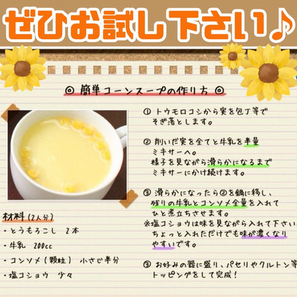 【予約受付中】とうもろこしゴールドラッシュ（L～2L 10本入り）