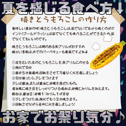 【予約受付中】とうもろこしゴールドラッシュ（L～2L 10本入り）