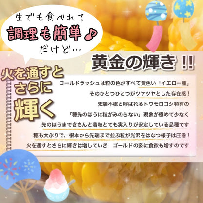 【予約受付中】とうもろこしゴールドラッシュ（L～2L 10本入り）
