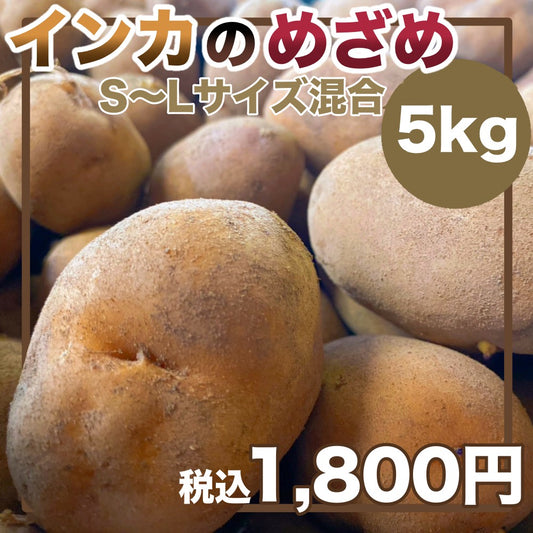 インカのめざめ（S~Lサイズ混合）5ｋｇ