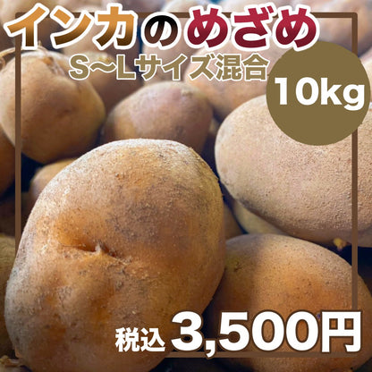 インカのめざめ（S~Lサイズ混合）10ｋｇ