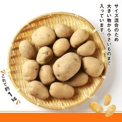 インカのめざめ（S~Mサイズ混合）10ｋｇ
