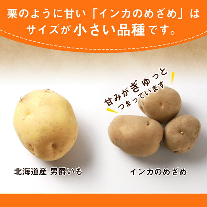 インカのめざめ（S~Mサイズ混合）10ｋｇ